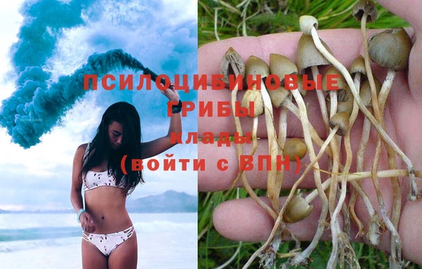 винт Алексеевка