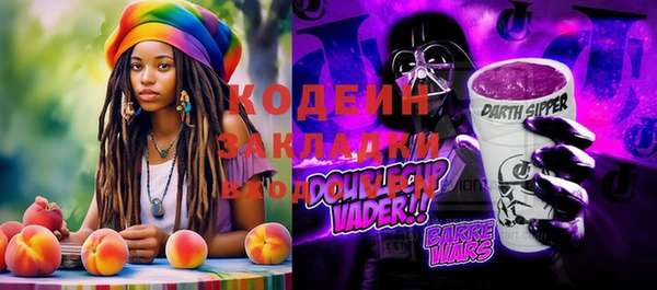 прущие грибы Осинники